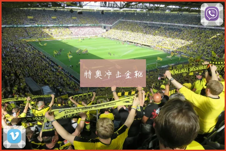 特奥冲击金靴