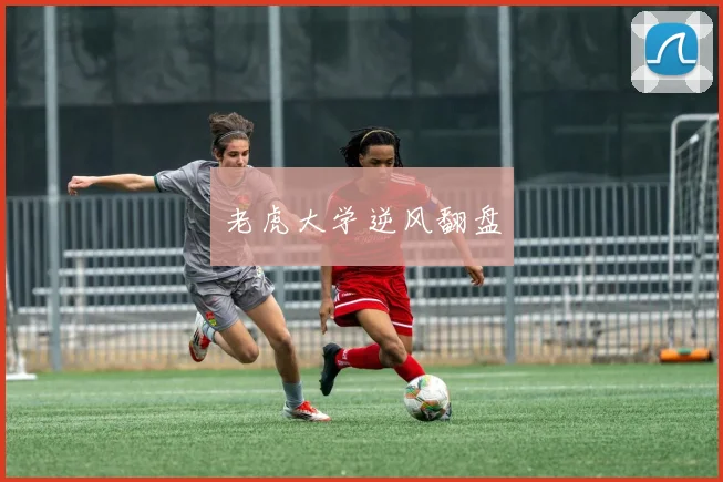 老虎大学逆风翻盘