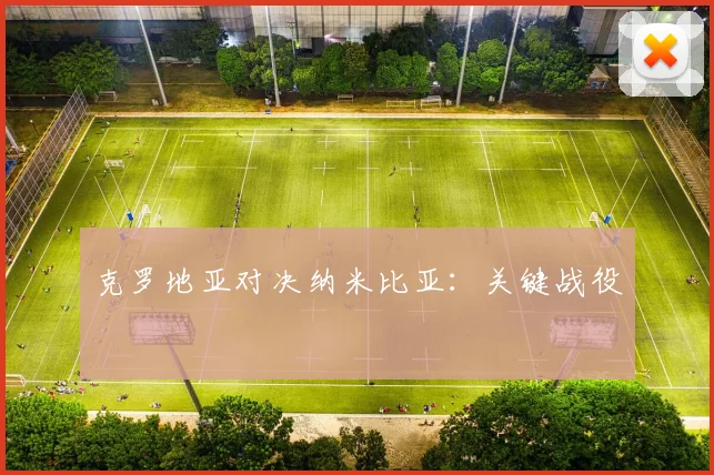 克罗地亚对决纳米比亚：关键战役