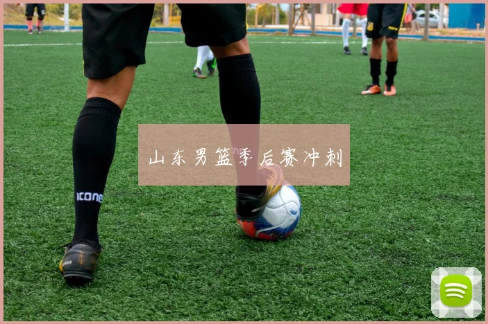 山东男篮季后赛冲刺