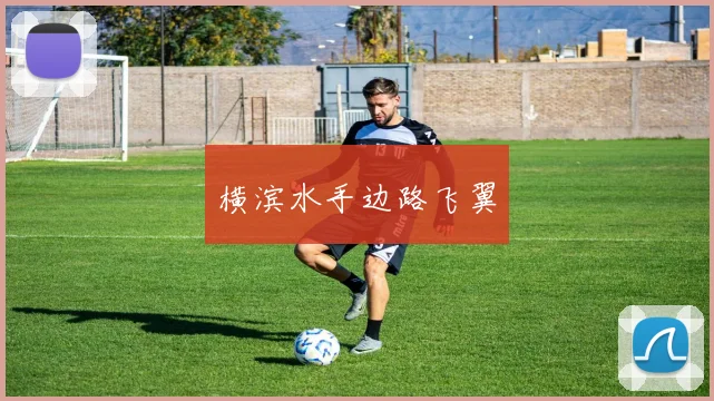 横滨水手边路飞翼