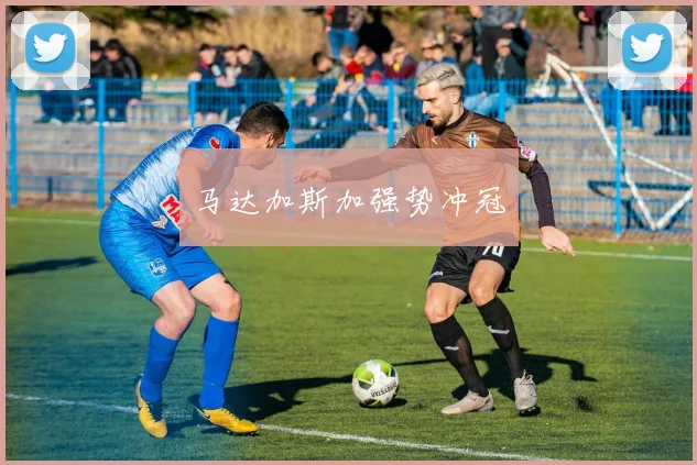马达加斯加强势冲冠