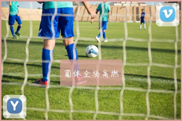 葡体全场高燃