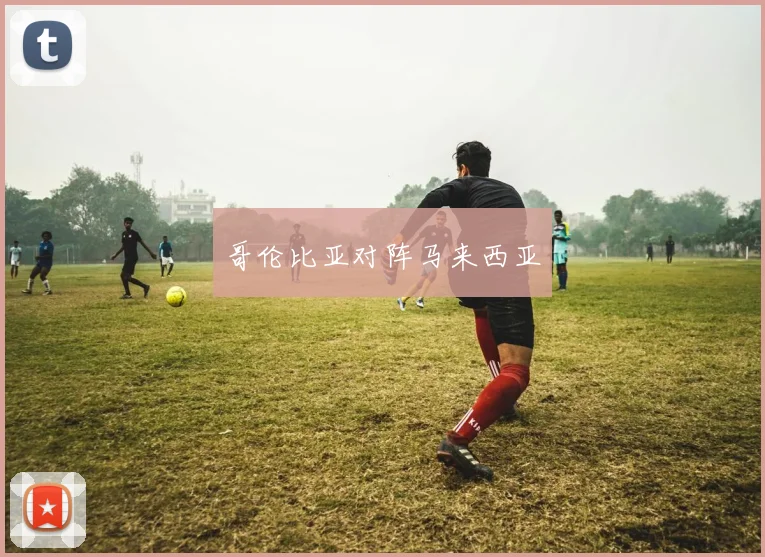 哥伦比亚对阵马来西亚