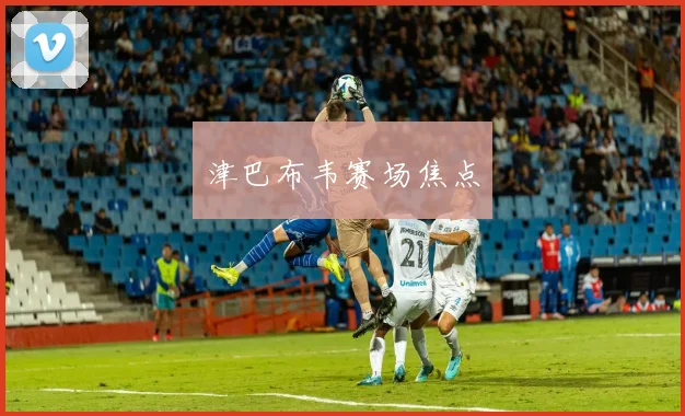 津巴布韦赛场焦点