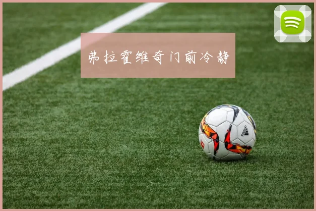 弗拉霍维奇门前冷静