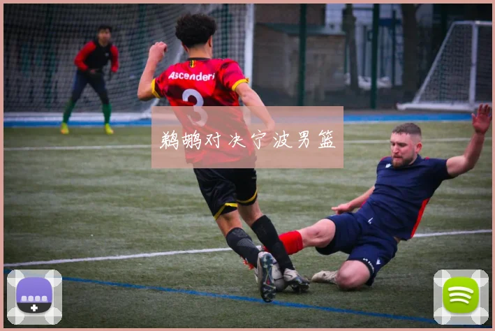 鹈鹕对决宁波男篮