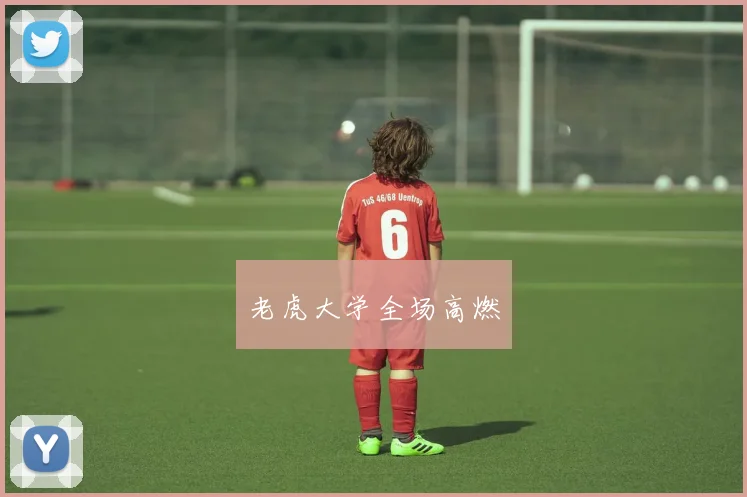 老虎大学全场高燃