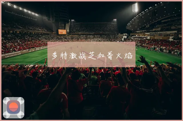 多特激战芝加哥火焰