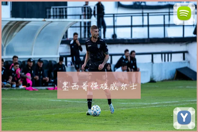 墨西哥强碰威尔士