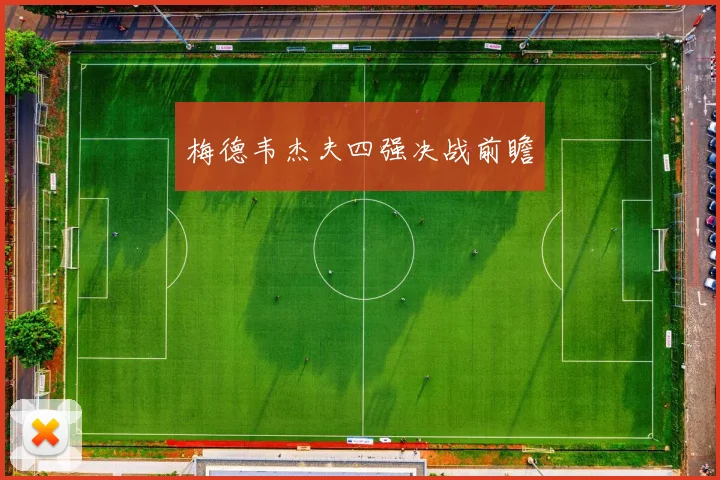 梅德韦杰夫四强决战前瞻
