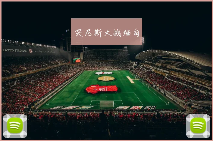 突尼斯大战缅甸