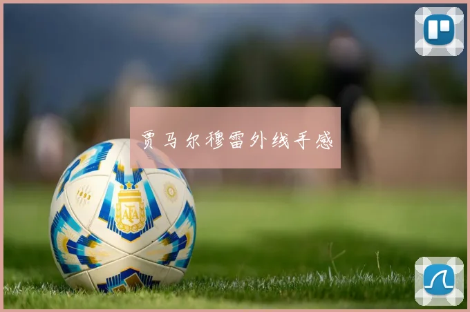 贾马尔穆雷外线手感