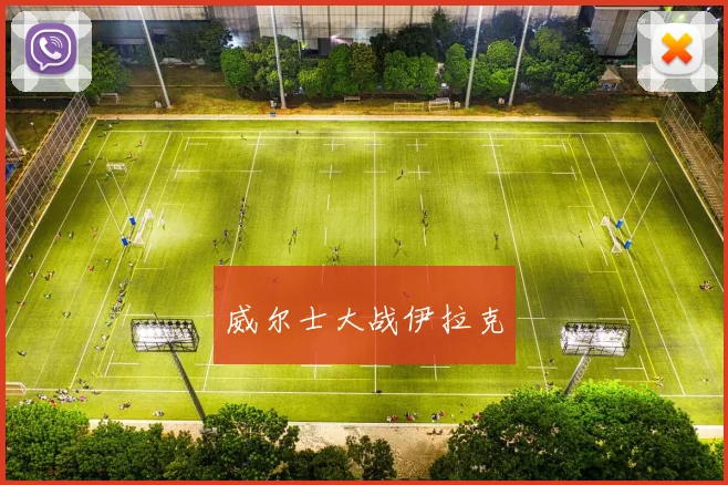 威尔士大战伊拉克