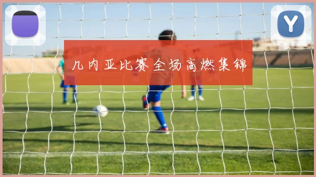 几内亚比赛全场高燃集锦