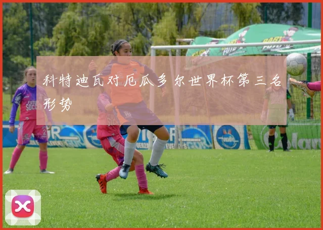 科特迪瓦对厄瓜多尔世界杯第三名形势