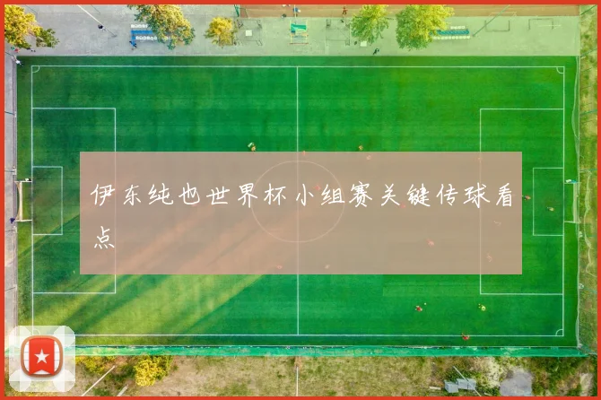 伊东纯也世界杯小组赛关键传球看点