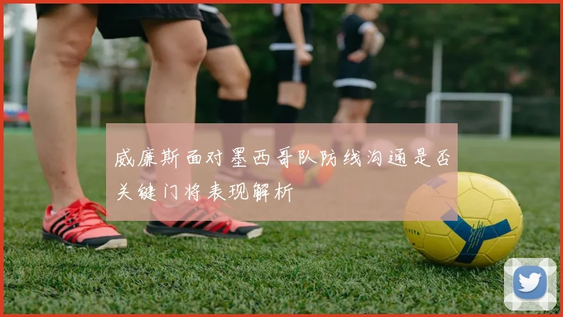 威廉斯面对墨西哥队防线沟通是否关键门将表现解析