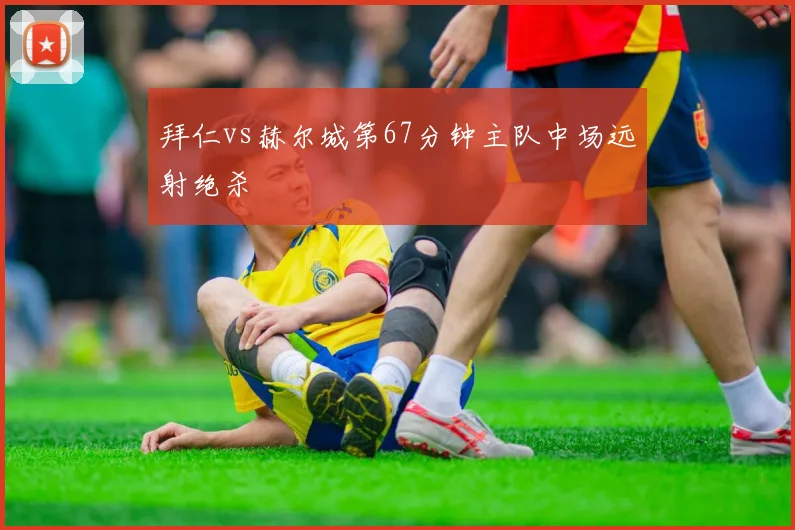 拜仁vs赫尔城第67分钟主队中场远射绝杀