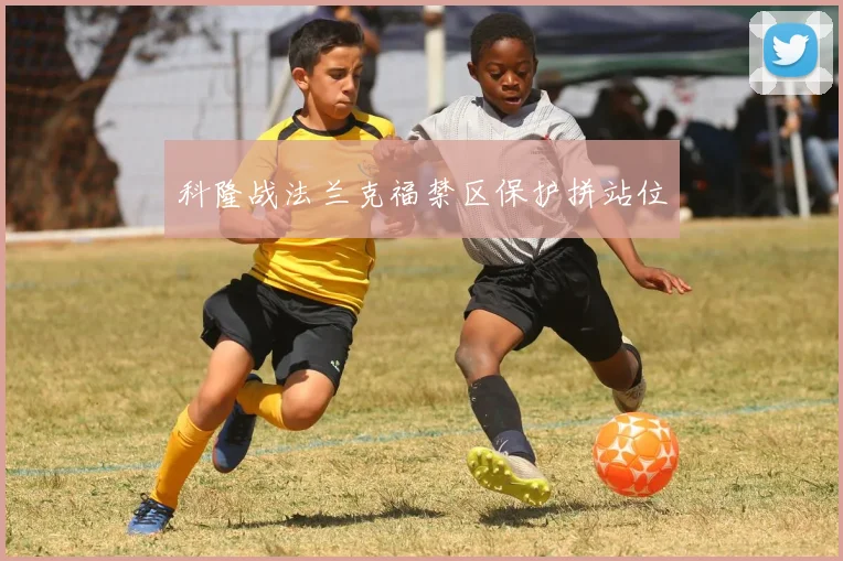 科隆战法兰克福禁区保护拼站位