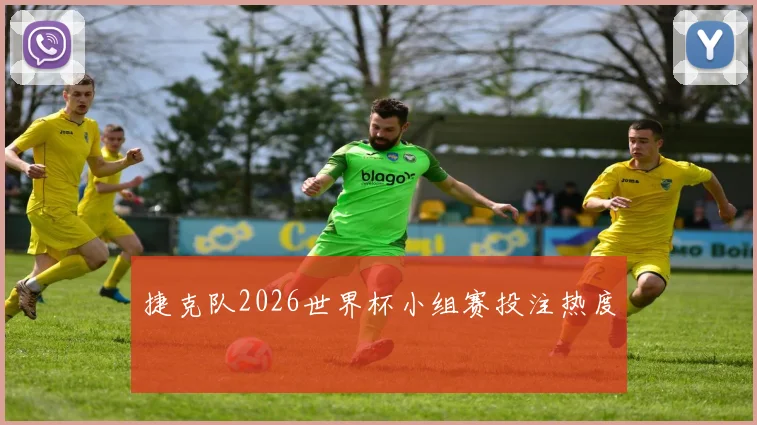 捷克队2026世界杯小组赛投注热度