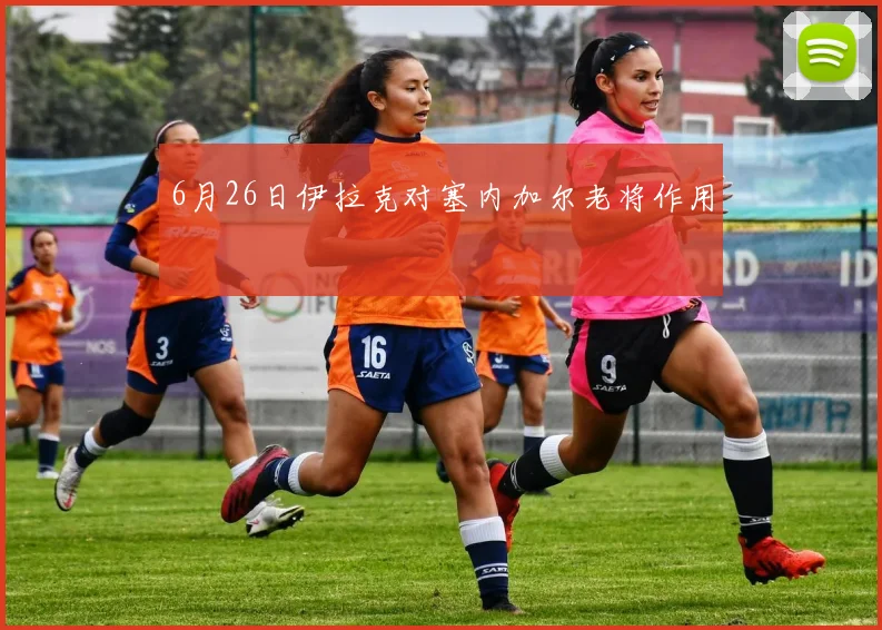 6月26日伊拉克对塞内加尔老将作用